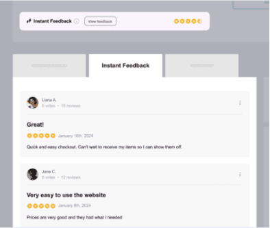 The instant feedback tab