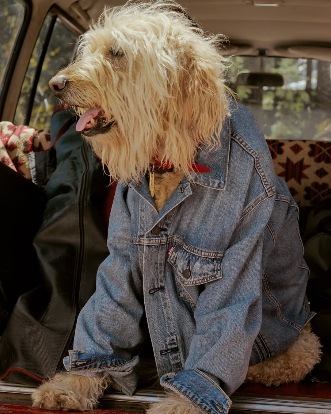 Merchandise from Levi's clothing line