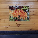 Collage in master bedroom