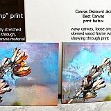 The canvas on the left is Canvas Champ, the one on the right side is Canvas Discount. Photo speaks for itself on difference regarding quality for pretty much the same cost.