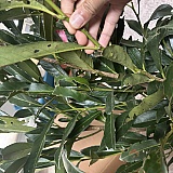 This one is the worst, full of holes