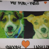 Yellow lines all throughtheir facess, the hearts, their names chopped off and the year 2015 on the ttop left is fully chopped off.