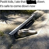 Yippee