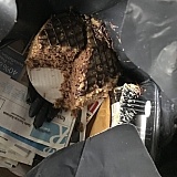 GB 15% off coupon
(expires October 1): SUMMERFRYDAY