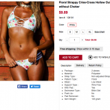 Photo they took from our site