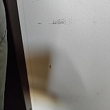 Here's a booger on the wall