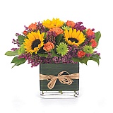 This was what it was suppose to be...