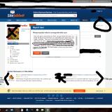 Report on the reviewer...