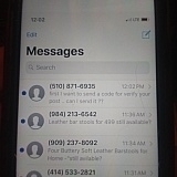 Note all the different area codes. It's every time. Another 4 or 5 in my email. This is simple, rules-based filtering, and Craigslist sure doesn't have a problem "figuring it out" when they wanna "ghost" someone's ads 8 ways from Sunday!