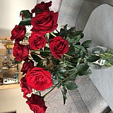 2 week mark still beautiful!