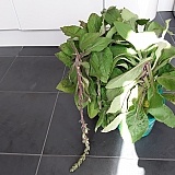 Put this in the hands of trading standards and citizens advice