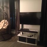 Wayfair standing-hammock and tv stand