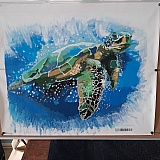 My very 1st Paint By Numbers - not perfect but I am very pleased with my first attempt.