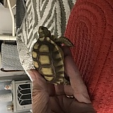 My new Family edition