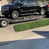 My Beautiful Delivery