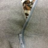 Wow. Look at the Zipper
http://www.ericdress.com/product/Beautiful-Korean-Style-Leopard-Long-Hoodie-10614382.html