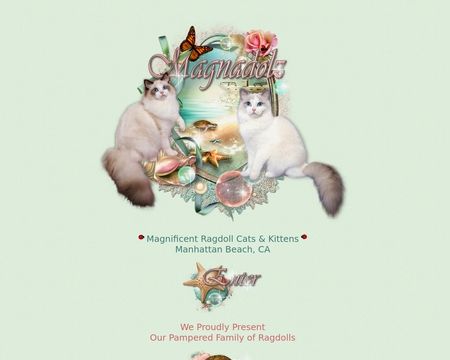 Magnadolz Ragdolls