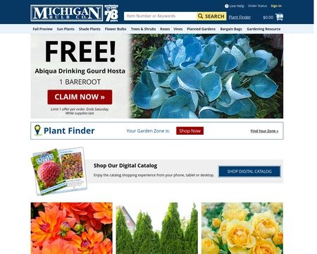 MichiganBulb