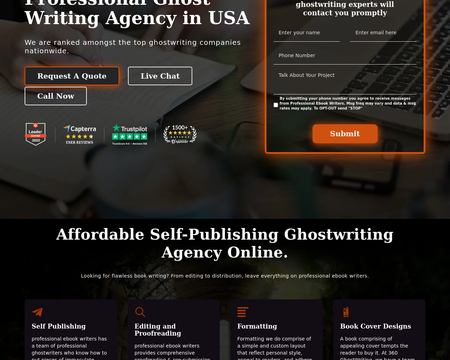 Professional Ebook Writers