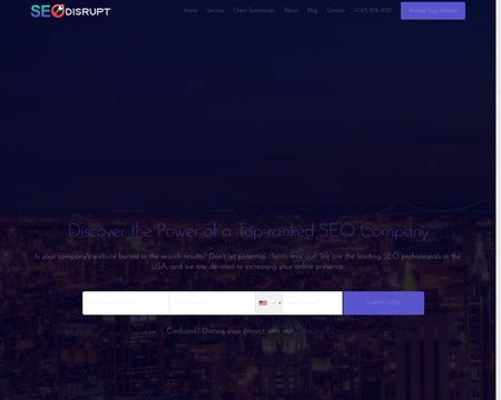 Seo Disrupt